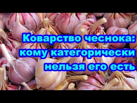 опасность чеснока, чем вреден чеснок и кому противопоказан #здоровье