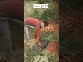 #shortsfeed #viral this is my real video in YouTube