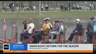 Swan Boats return to Boston for the season