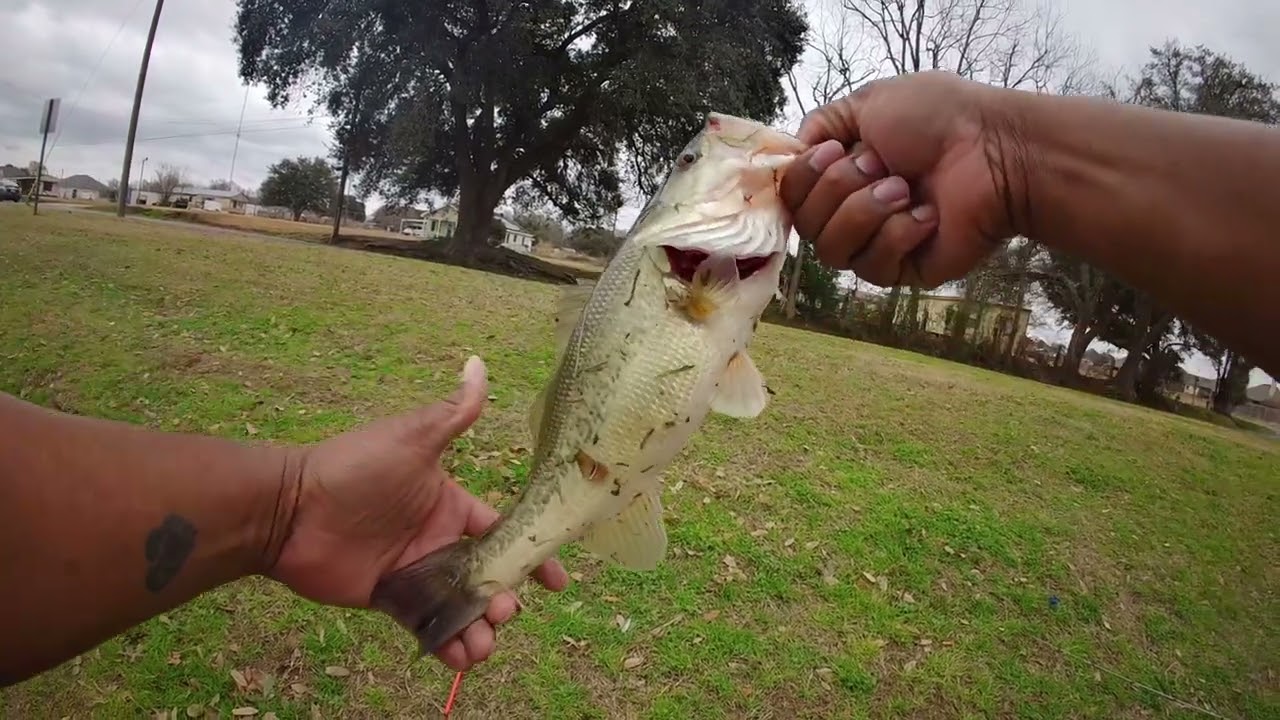 Bass Fishing All Catches