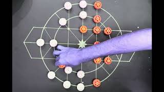 Pro vs Pro Sholo Guti Match 😎 Intense Gameplay screenshot 3