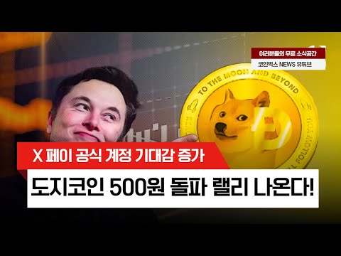 도지코인 속보 X 페이 공식 계정 기대감에 500원 돌파 랠리 이어진다 