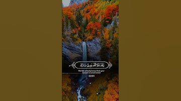 وَلَقَدْ نَعْلَمُ أَنَّكَ يَضِيقُ صَدْرُكَ |سورة الحجر~الآية97~القارئ الشيخ #فارس_عباد ~🎧🤍