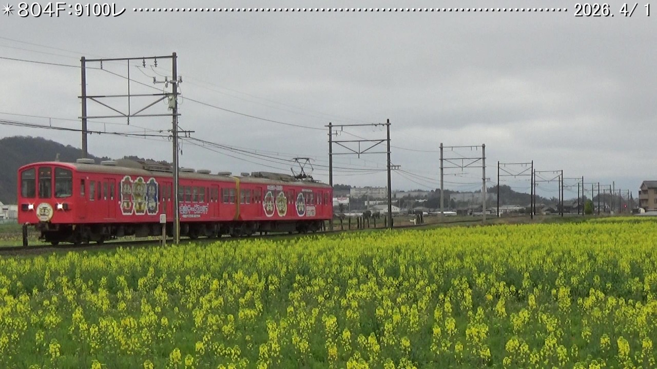 近江🚃日記 804F＆201F野口 （2026.4/1） 巛巛 - YouTube