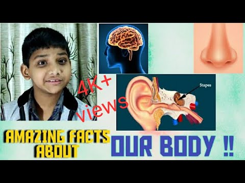 Human BODY Parts | Surprising & Amazing facts | शानदार चौंकाने वाले