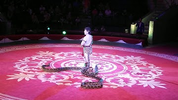 Đi xem xiếc Trăn tại Rạp Xiếc Trung ƯƠng Hà Nội