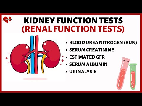 Video: Vai kft testam ir nepieciešama badošanās?