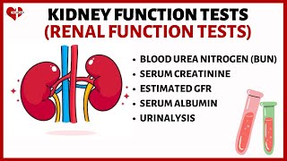 Kidney Function Tests (KFT's) Explained| Serum Creatinine, Serum Albumin, BUN, eGFR, and Urinalysis