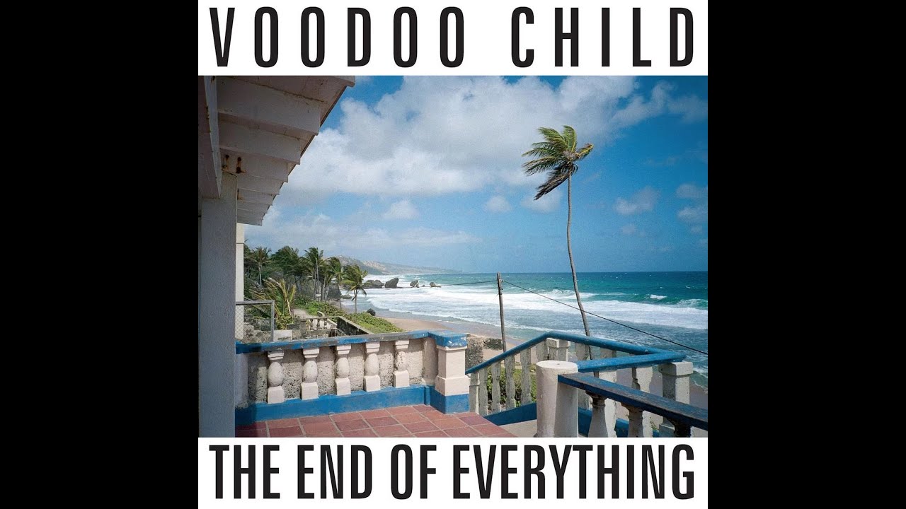 VOODOO CHILD (MOBY) - Animal Sight