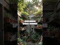 From Clutter to Command Center a Garden Organization Episode