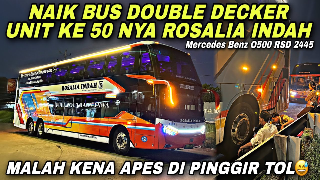 Naik Bus Double Decker Ke 50 Nya Rosin 😱 Malah Kena Apes Di Pinggir Tol ❗️| trip Rosalia Indah 150