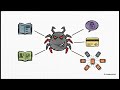 Fake App Update Scams Explained | How Fake Updates Hack Your Phone