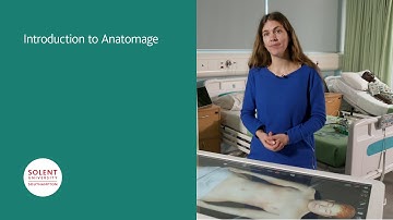 Introduction to Anatomage