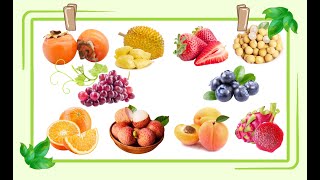 Fruit Names Compilation in Chinese|水果大集合中文|中文加油站 screenshot 5