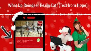 What Do Reindeer Really Eat? (Text from Hope)
