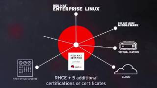Famous plexus networks training center Net Worth