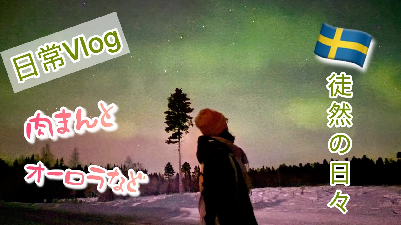 肉まんやらオーロラやら/スウェーデン北部在住の徒然