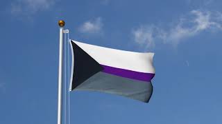 Demisexual - 3x5 ft Flag