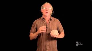 Free Foundations Of Psychology Course - Overview - Open2Study