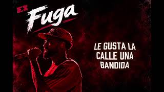 Fuga jay wheeler (lyrics official)