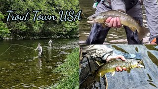 Catskills Fly Fishing "The Beaver Kill"