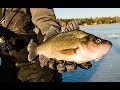 Hook Shots: Giant New Hampshire White Perch