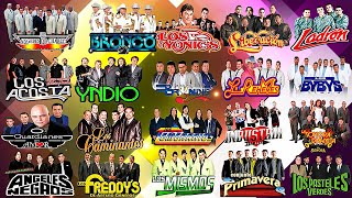 BRONCO, LOS TEMERARIOS, BUKIS, BRYNDIS, ACOSTA, CAMINANTES, YONICS, MIER 💞 GRUPERAS 90S DEL RECUERDO
