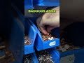 Egy kis ASMR😂 #bádogos #roofer #dach #keribadog #spengler #asmr