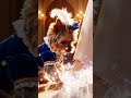 Super Yorkie finds Cinderalla