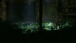 Station Eleven Theater Nature Ambience: NO MUSIC, SOUNDSCAPE RELAX STUDY SLEEP MEDITATE NAP screenshot 3