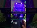Motion Sensor Light for Smart Public Toilet #school #short #swachhbharat #greeninitiative