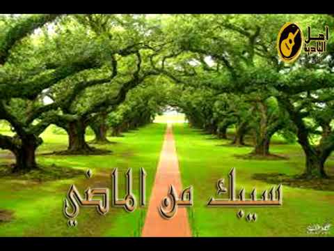 سيبك من الماضي