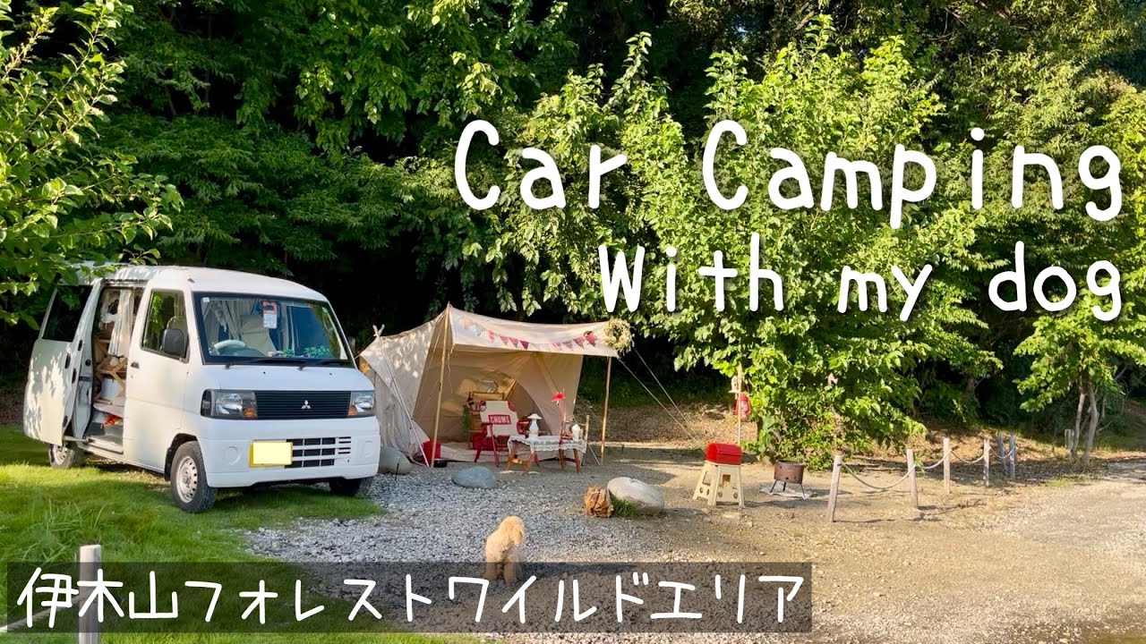 【車中泊キャンプ】女ひとりと1匹/みたらしだんご/シーフードカレー/蒸し豆腐