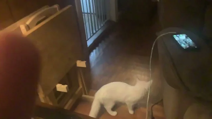 Showing my pets (very cute)