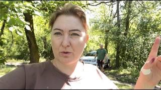 Возмущению нет предела…
