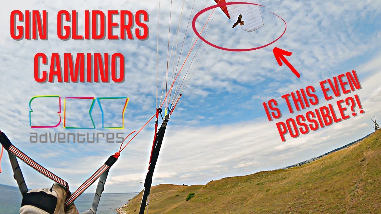 This should have ended differently - Speeding GIN Camino