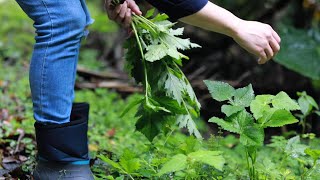 大山的美味 野菜煮食技巧大公開 好吃讓你忘不了 by 矜潔在料理 341 views 1 month ago 6 minutes, 37 seconds