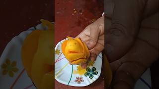Mango #shorts #short #shots #youtubeshorts #ytshorts #mango #food #fruit #minikitchen #reels #yt