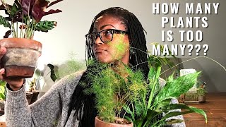 How Many Plants Is TOO MANY | When Is It Time To Let a Plant Go?