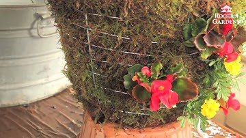 How to Make a Moss Hanging Garden Basket with Lisa