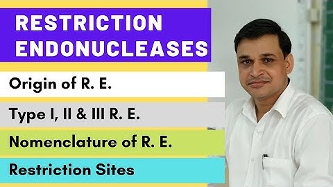 Restriction endonuclease enzymes - their types and nomenclature | Restriction or recognition sites