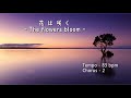 JP - 花は咲く - The flowers bloom -- ( Bb Instrument )