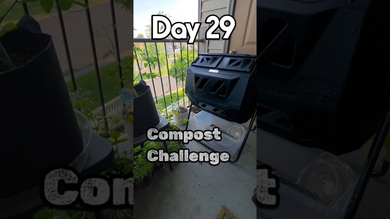 Day 29 of the Compost Challenge #30daychallenge