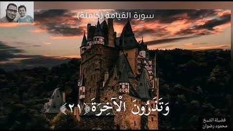سورة القيامة الشيخ محمود رضوان