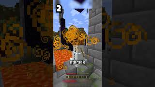 Minecraftta Doğru Olanı Bulabilir Misin?