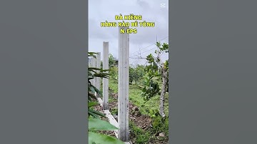 HÀNG RÀO LẮP GHÉP CÓ CẦN ĐÀ KIỀNG KHÔNG? XEM THỰC TẾ SAU HƠN 1 NĂM! #xayhangrao #hangraolapghep