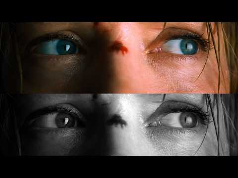Every Change to Kill Bill: The Whole Bloody Affair (It’s More Than You Think)