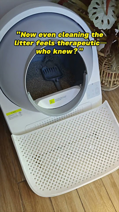 #catproducts #bestpetsupplies #catbox #catlink