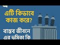 Transformer| ট্রান্সফর্মার কী? এটি কিভাবে কাজ করে । বাস্তব জীবনে এর ভূমিকা কি?