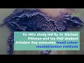 What color were fossil animals  dr michael pittman earth sciences